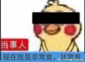 娱乐吃瓜鹅君