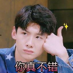 白敬亭晚安表情包